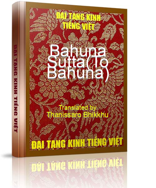 Đại Tạng Kinh Việt Nam