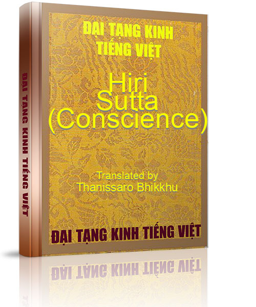 Đại Tạng Kinh Việt Nam