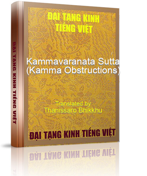 Đại Tạng Kinh Việt Nam