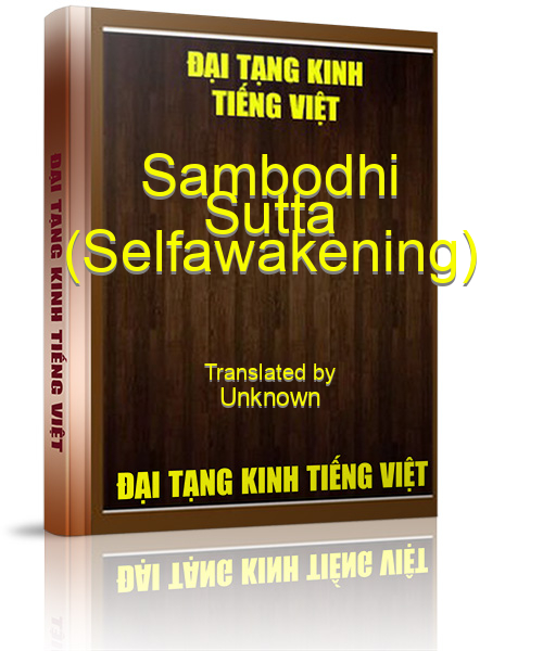 Đại Tạng Kinh Việt Nam